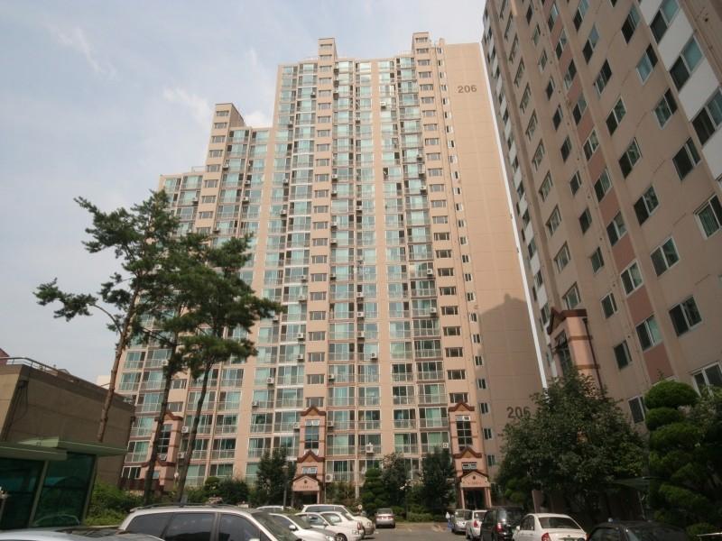 206동