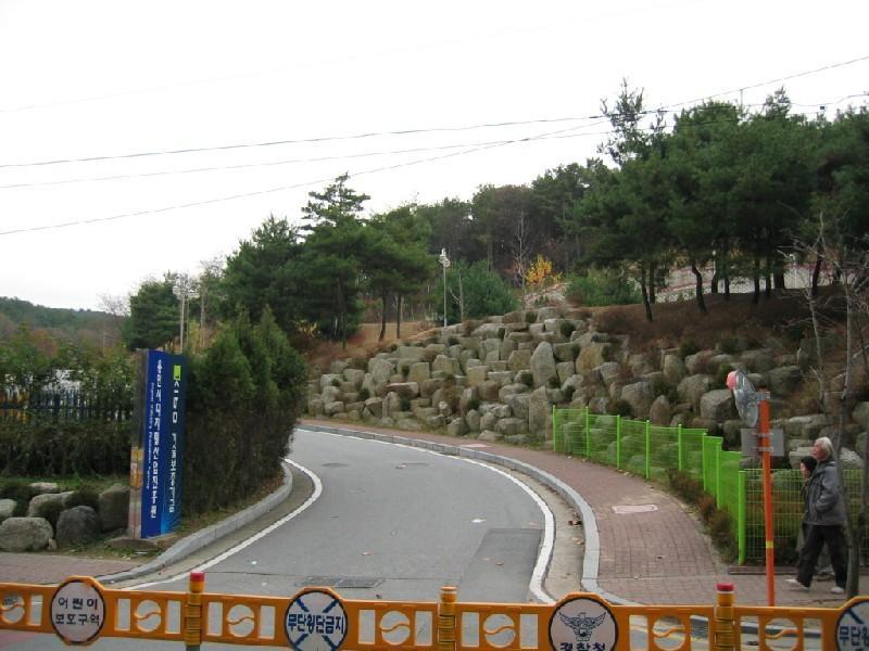 디지털 진흥원