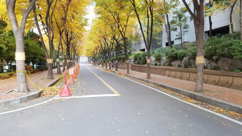 단지를 관통하여 이어져 있는 단지 내 도로이에요