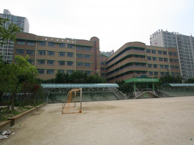 솔개초교