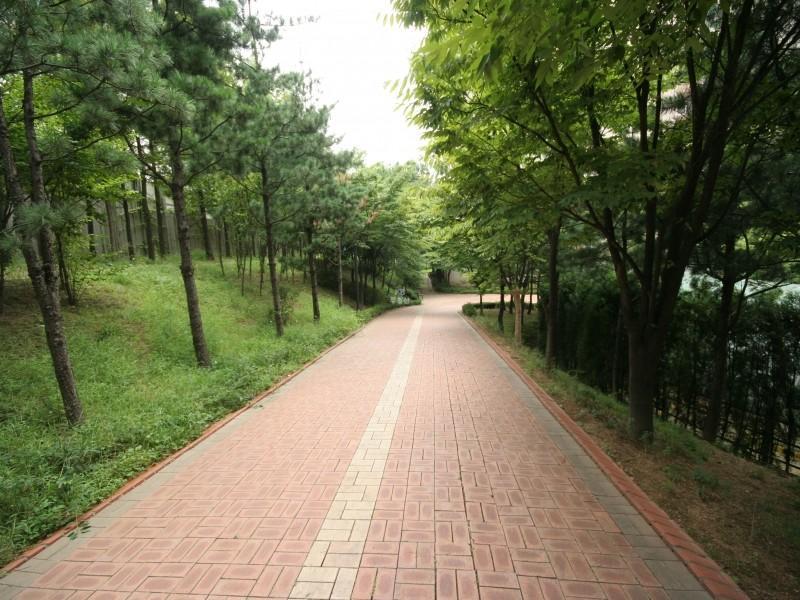 산책로