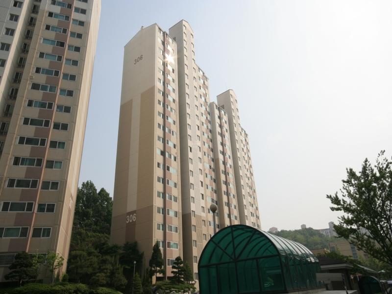 306동