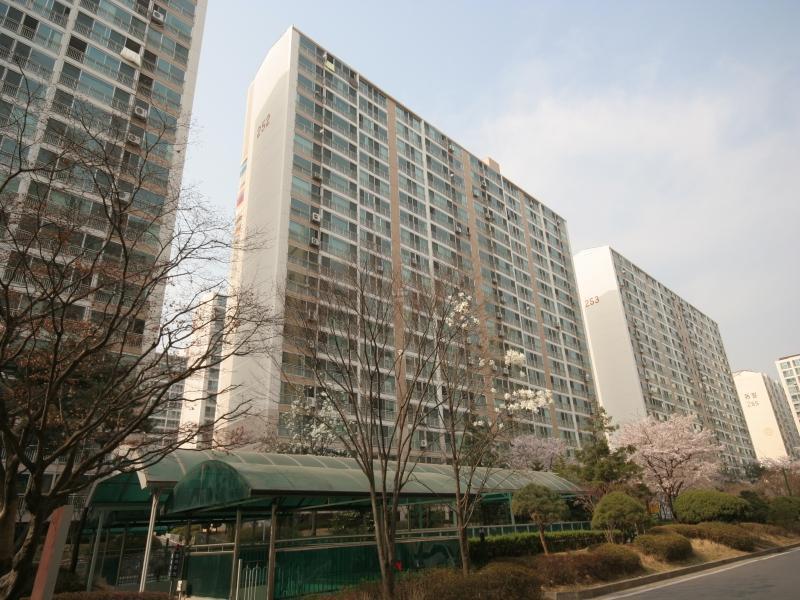 252동