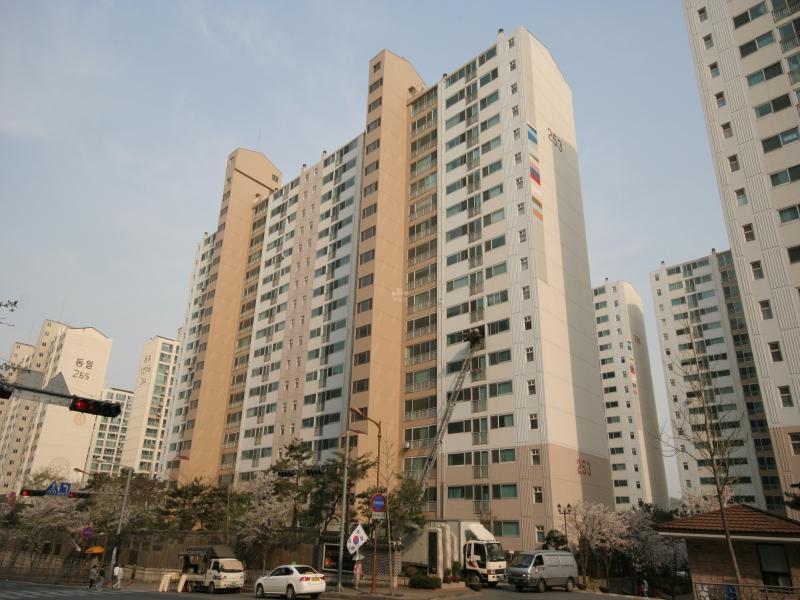 253동