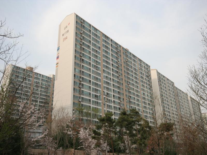 254동