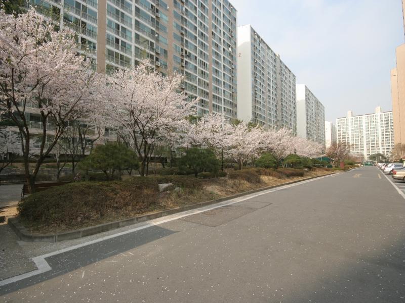 단지내도로