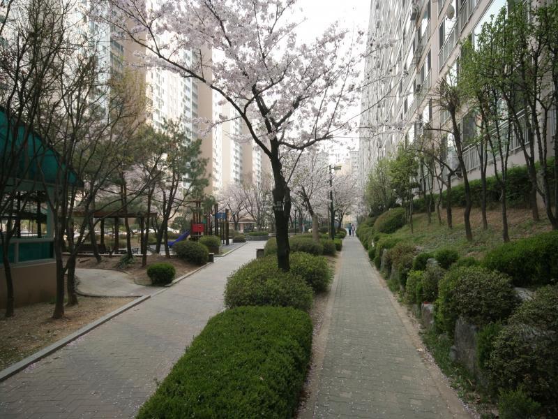 산책로