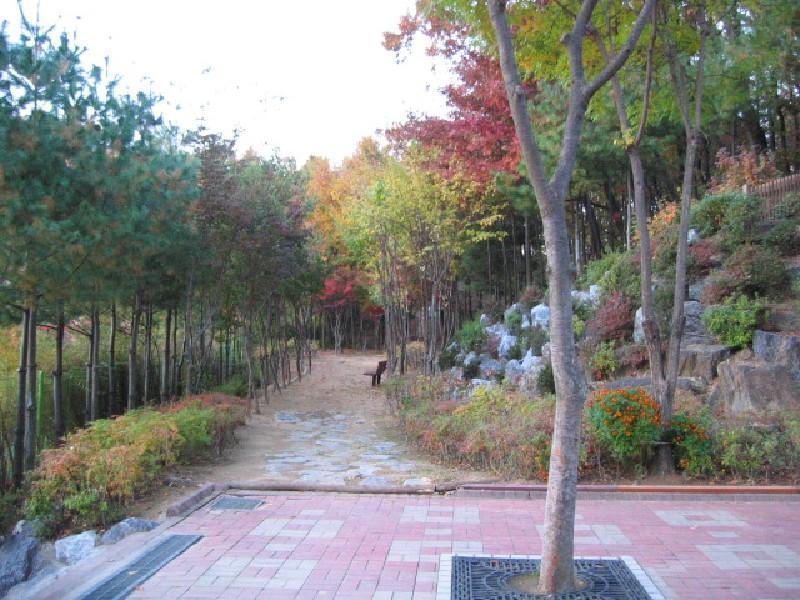 근린공원 길