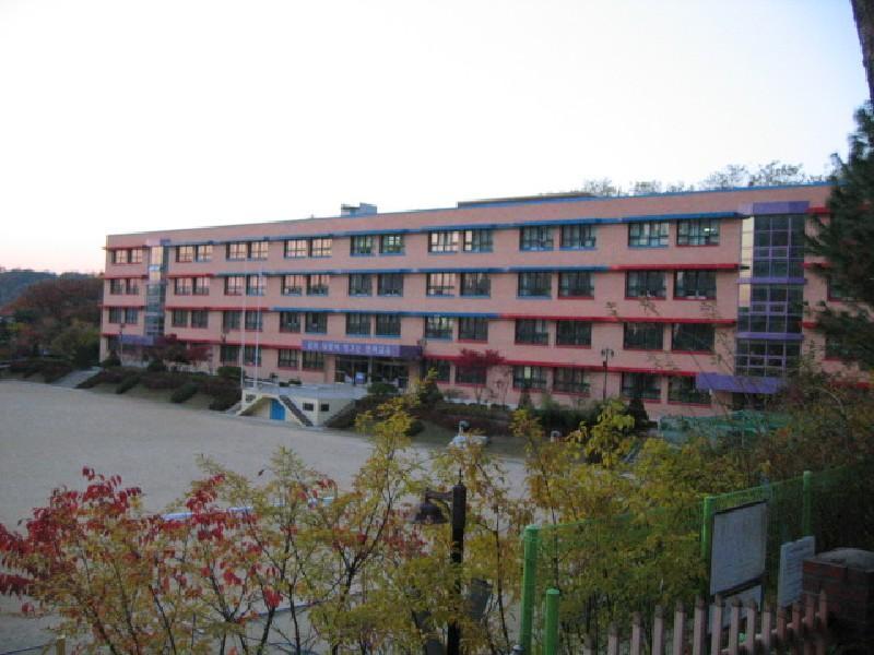 보라초