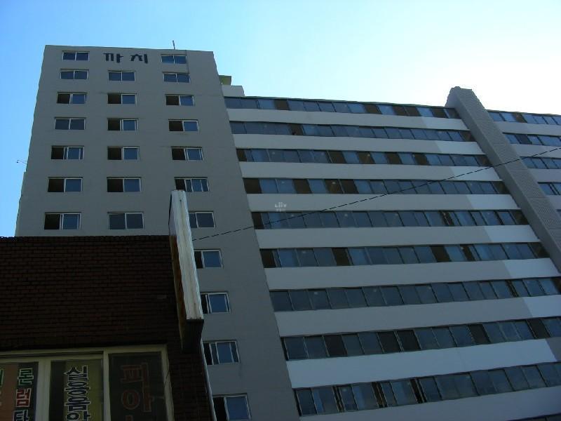 DSCN5010