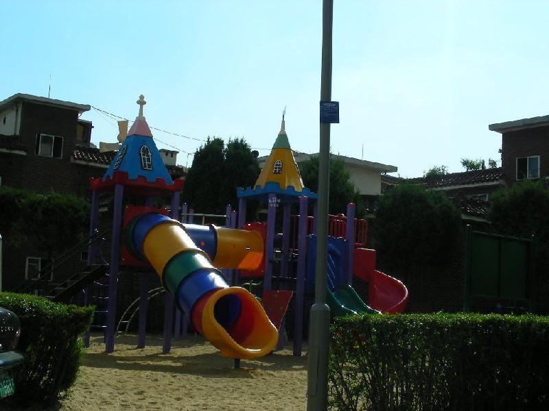 DSCN5019