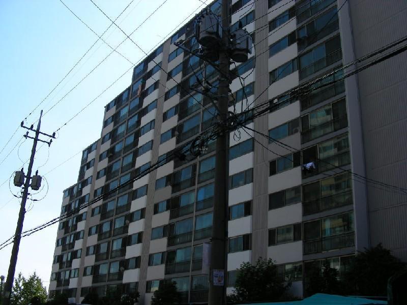 DSCN5009