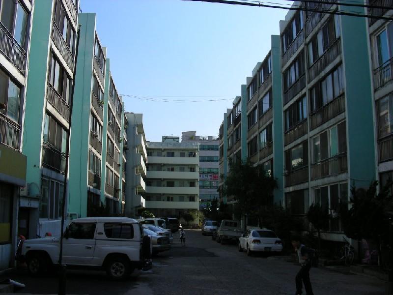 DSCN5068