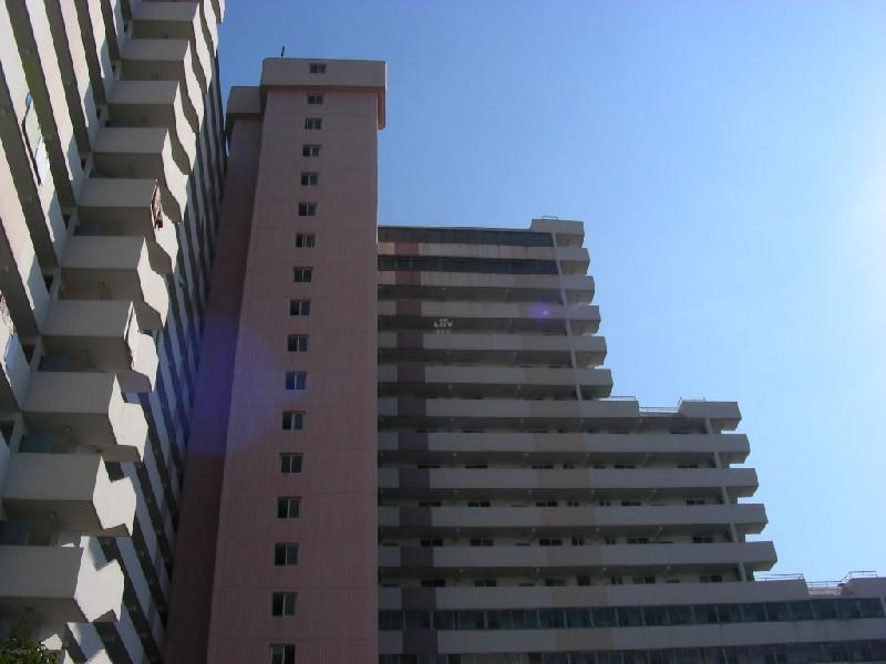 DSCN5042