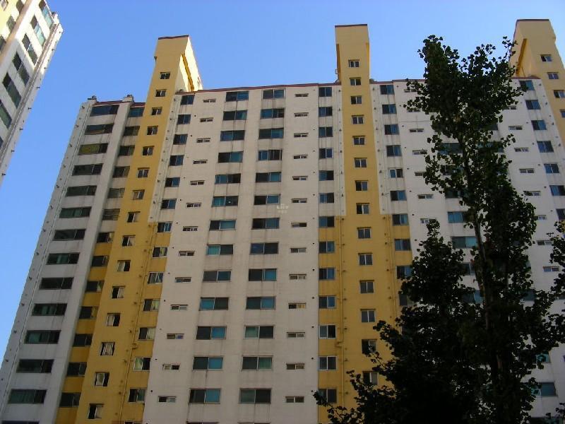DSCN5204
