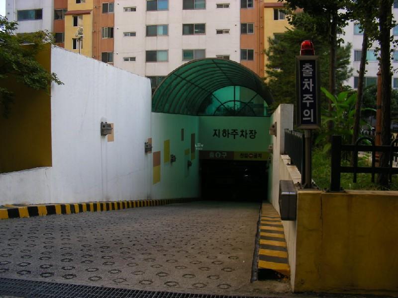 DSCN5203