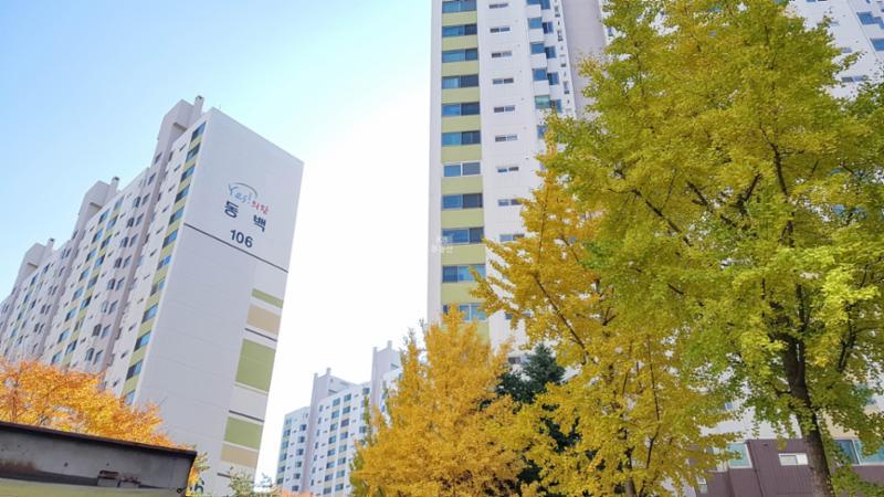 단지 곳곳에는 푸르른 조경 시설이 갖춰져 있어, 단지 내 사계절 풍경도 함께 즐길 수 있어요