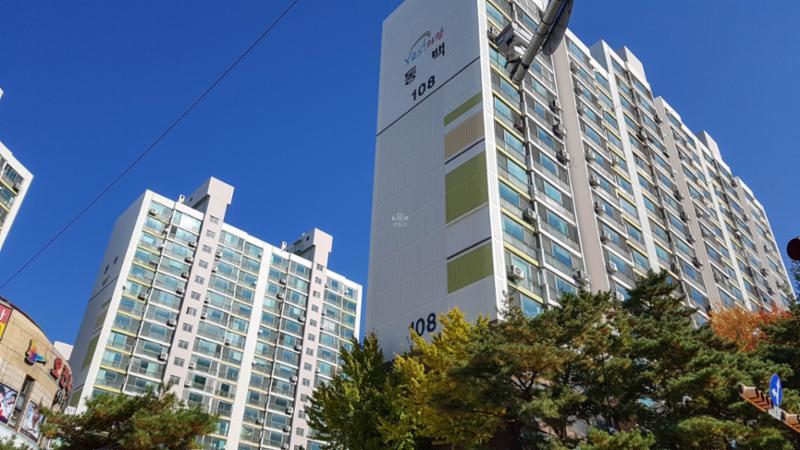 동백 전경이에요