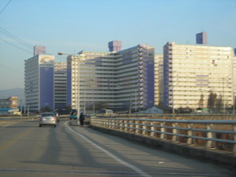 DSCN8738