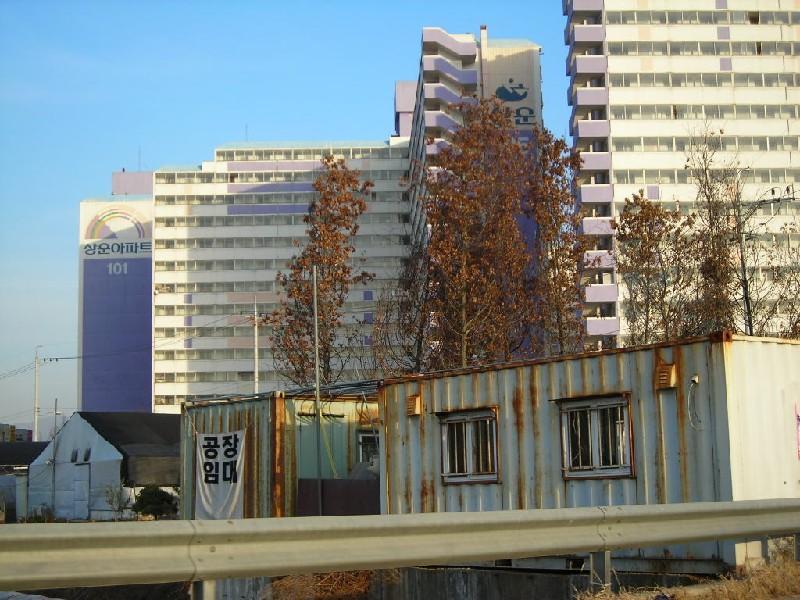 DSCN8741