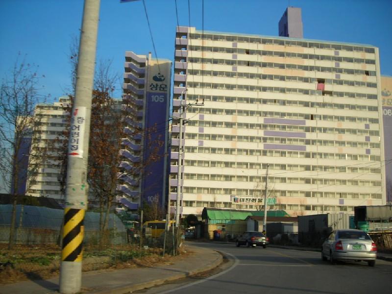 DSCN8742