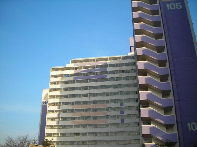 DSCN8745