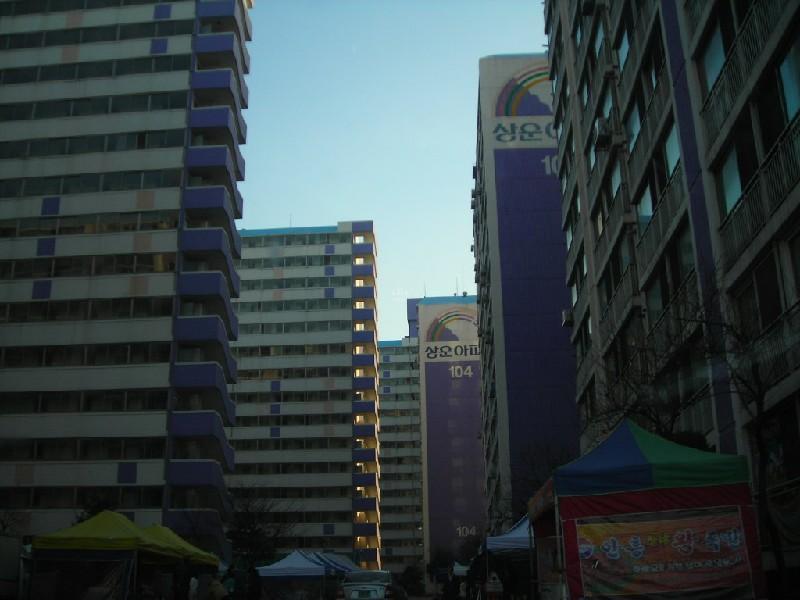 DSCN8750