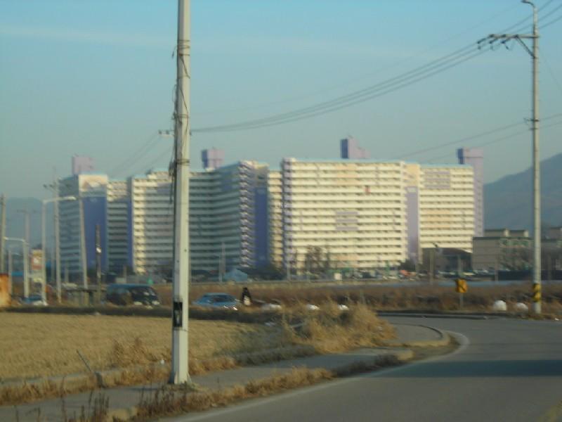 DSCN8737