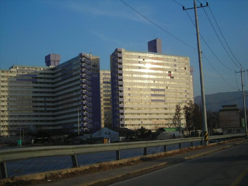 DSCN8740