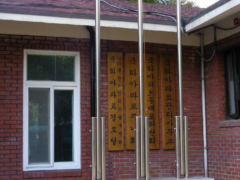 DSCN5569