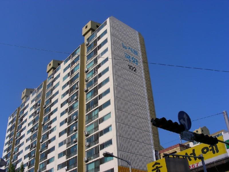 DSCN5568