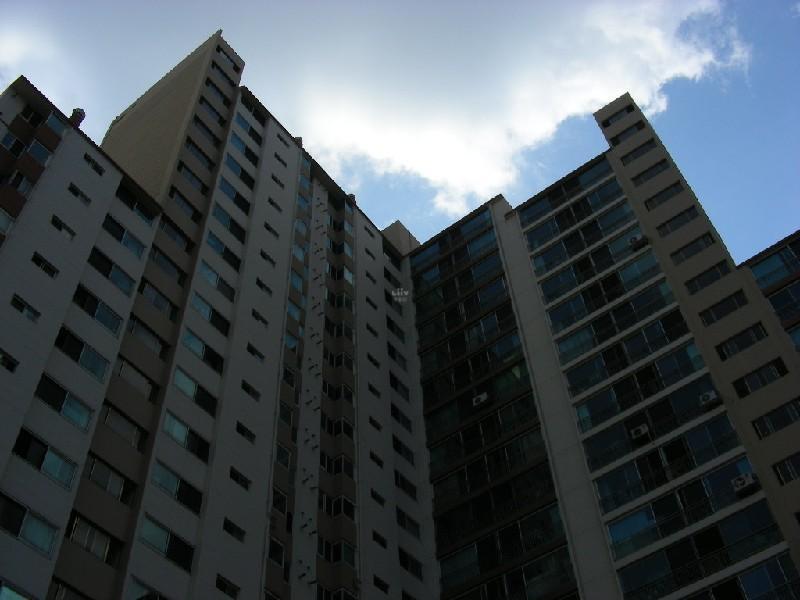DSCN5331
