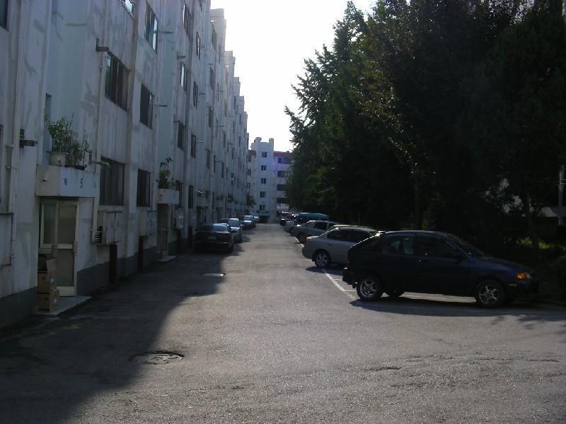 DSCN5319