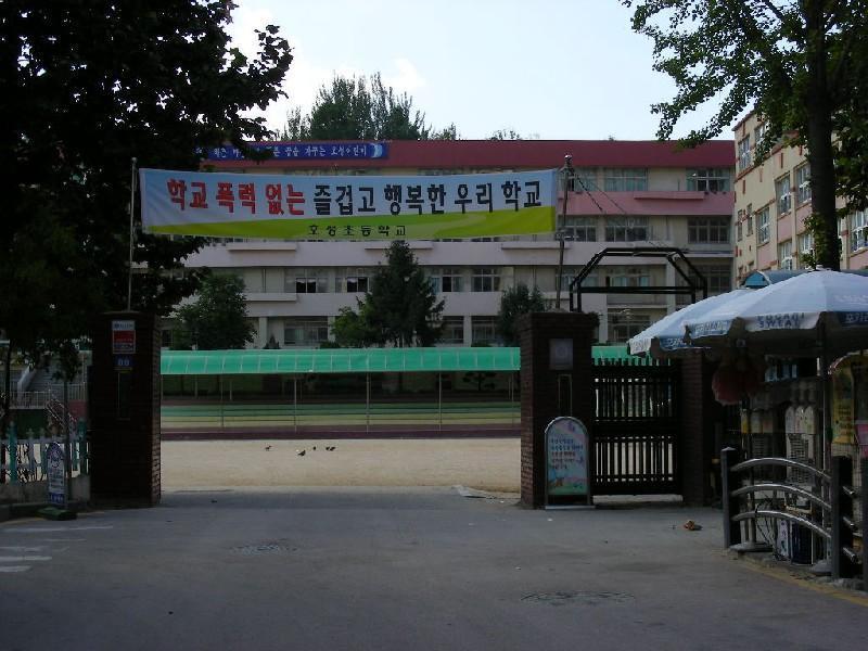 DSCN5284