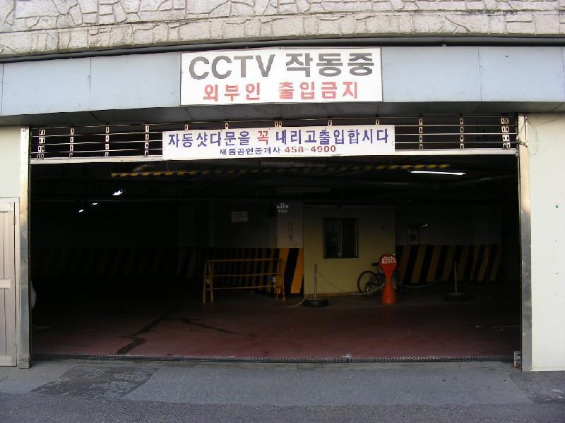 DSCN5454