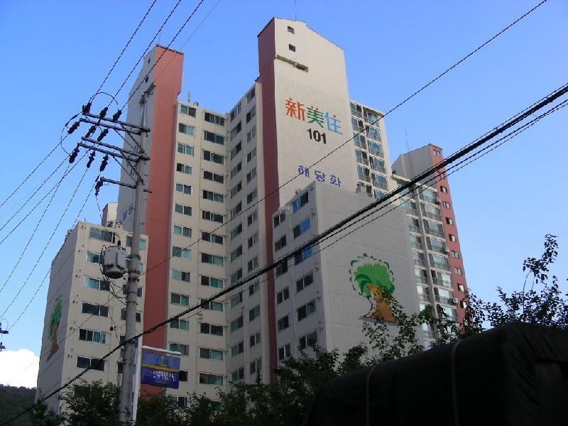 DSCN5368