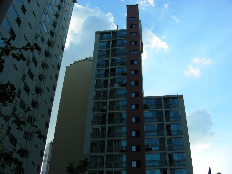 DSCN5376