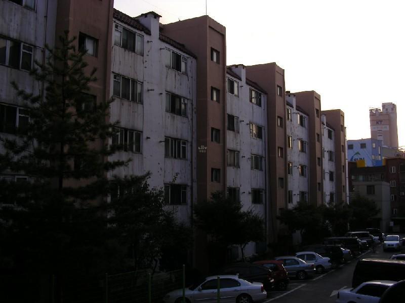 DSCN5528
