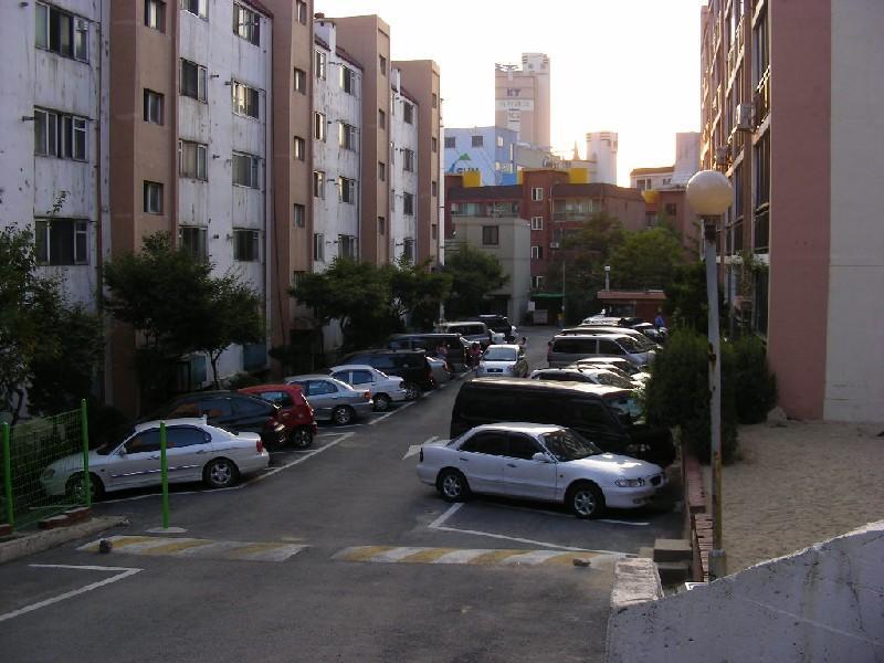DSCN5529