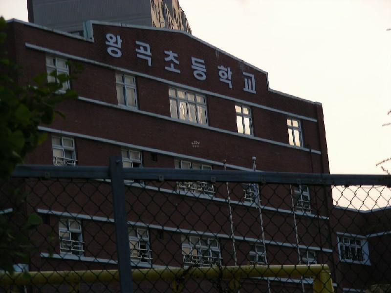 DSCN5551