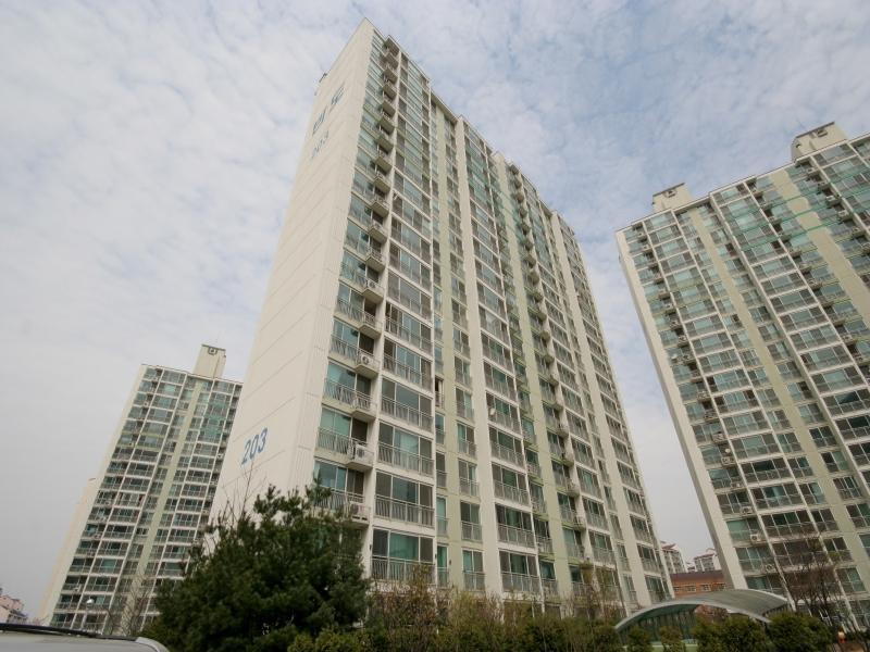 203동