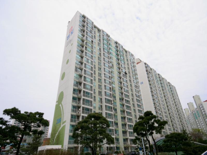 206동