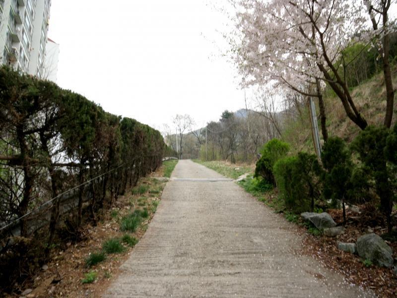 모락산등산로