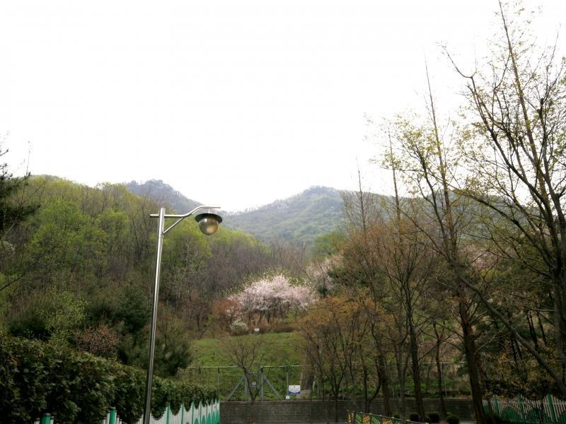 모락산전경