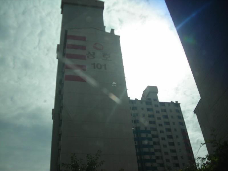DSCN6309