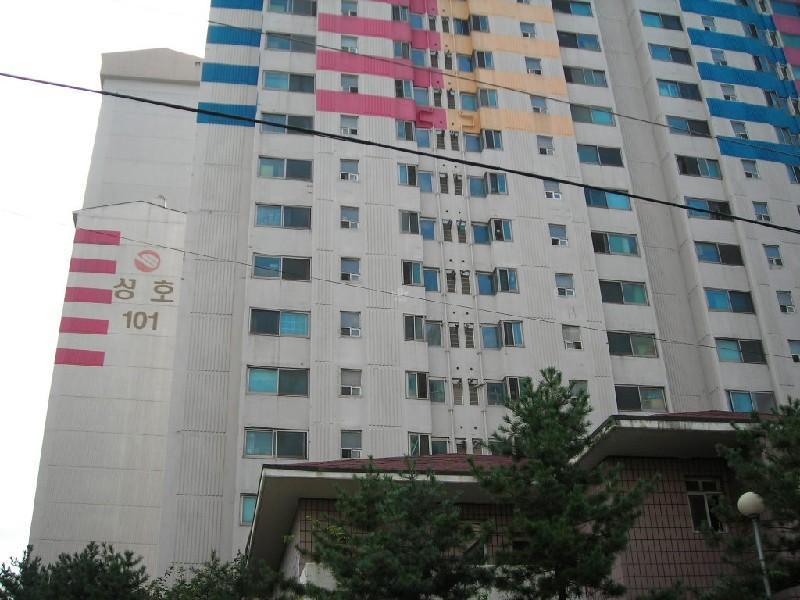 DSCN6318