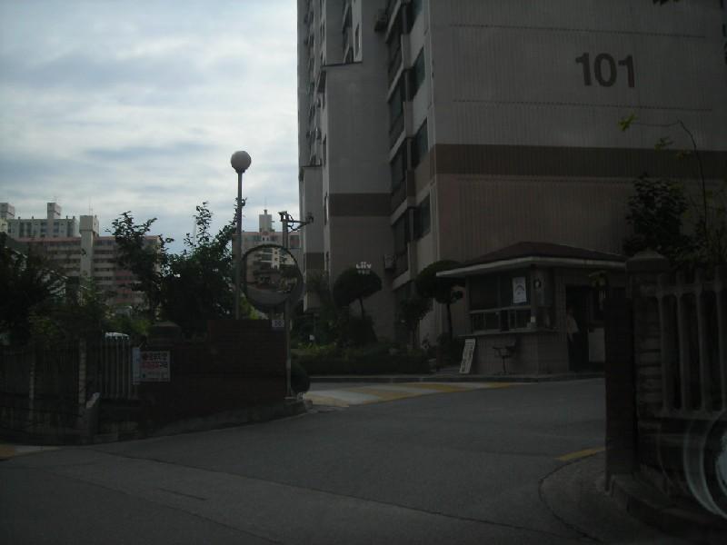 DSCN6310