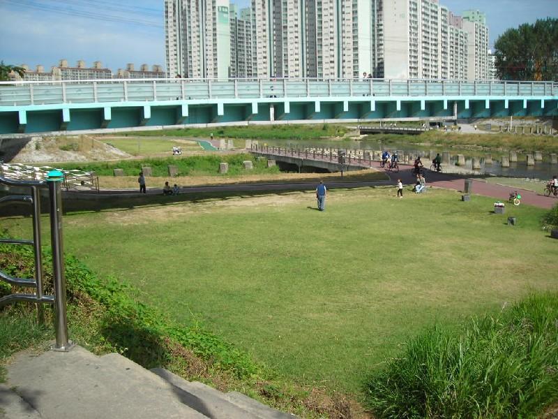 DSCN6379