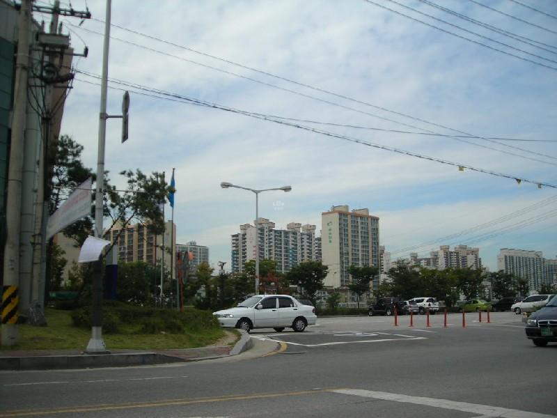 DSCN6246