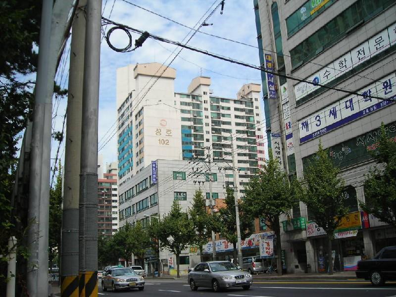 DSCN6296